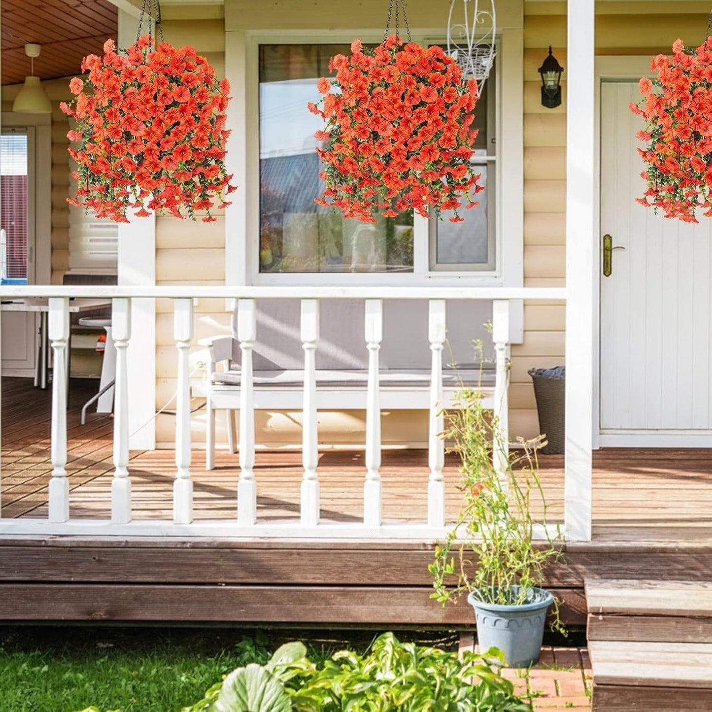 49% OFF🔥 ONLY 1.88 EACH!🌺Hanging morning glory