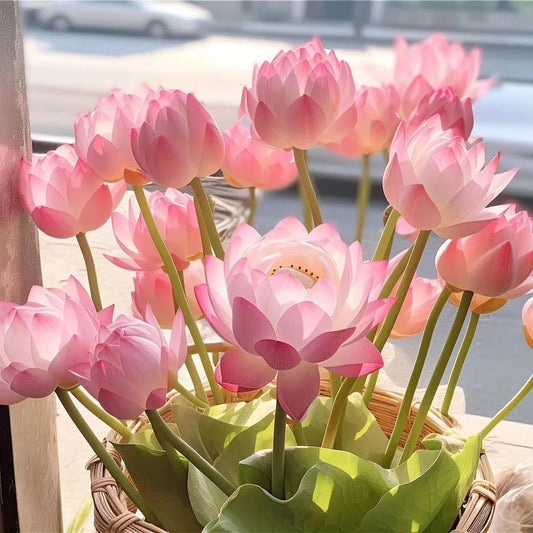 🔥[7 days germination] Last Day Sale -49% OFF💐The Sacred Bonsai Bowl Lotus Flower